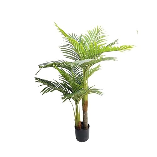 ヤシ 観葉植物」の人気商品一覧 | 安い商品を通販サイトから探す